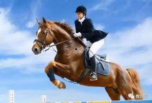 骑马吃瓜视频大全,盘点热门骑马吃瓜视频大全