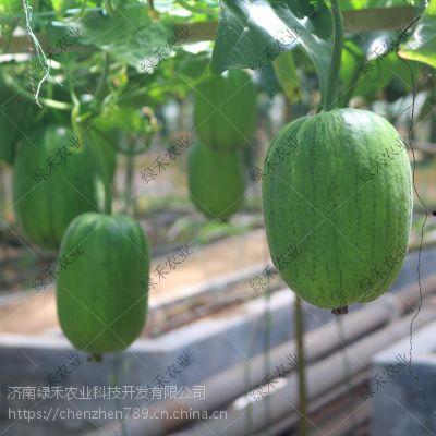 apple吃瓜旗舰店,潮流美食新体验，尽享水果盛宴