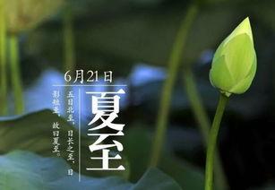 夏至吃瓜寓意文案,寓意丰收与清凉
