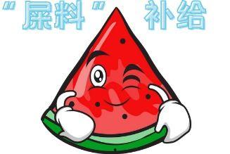 有人吵架吃瓜现场,一场激烈争吵背后的吃瓜众生相