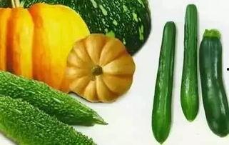 十四冬各国吃瓜