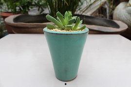 吃瓜盆瓷花盆,创意家居新宠，打造个性花园空间