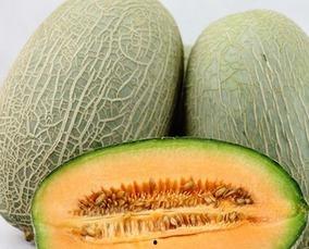 生理期哈密瓜可以吃吗,哈密瓜的食用指南