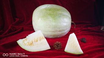 白瓜怎样吃健康,解锁营养美味新方式