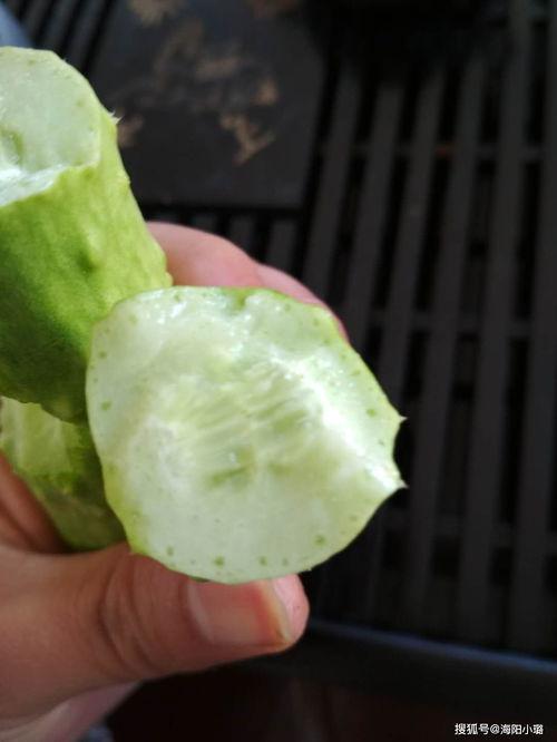 白玉瓜咋样吃,解锁美味新体验