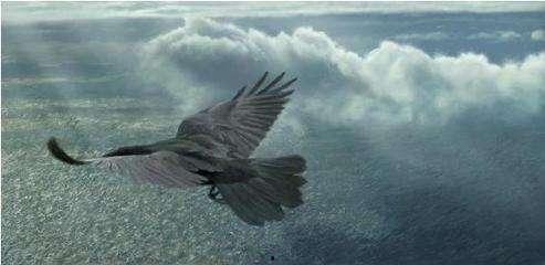 鲲鹏吃瓜,一场奇幻的宇宙盛宴