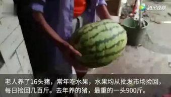 去哪里吃瓜视频,揭秘热门“吃瓜”视频背后的热门地点