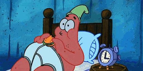 吃瓜熊合集txt,趣味横生的动物故事汇编