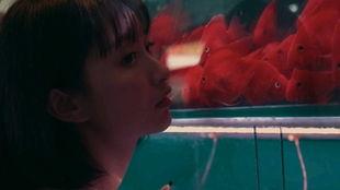 女孩吃瓜视频在线观看,女孩吃瓜视频带你领略网络美食新风尚