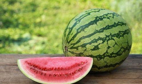 瓜上有虫子吃瓜皮,揭示瓜农的烦恼与对策