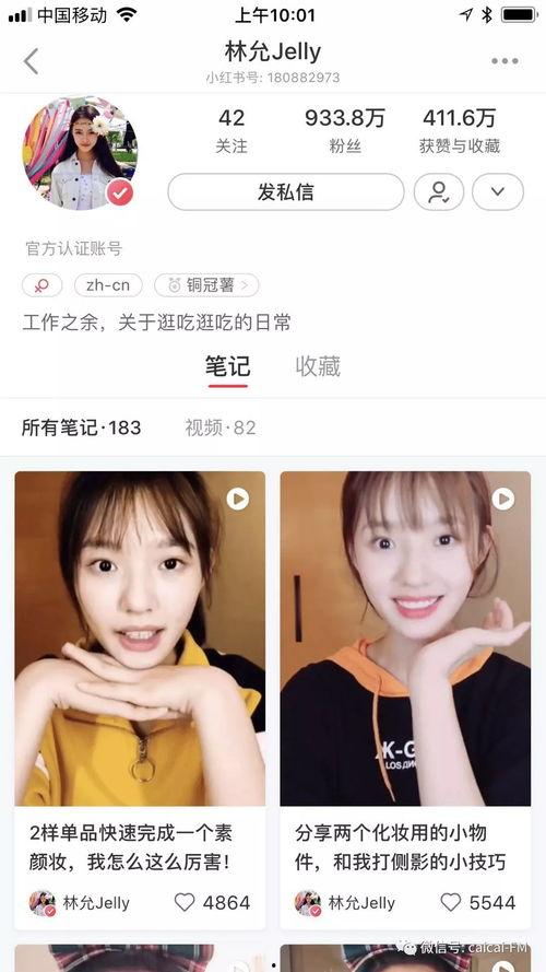 日常吃瓜的小说