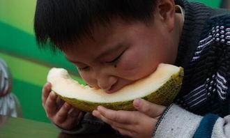 卓文吃哈密瓜,卓文畅享哈密瓜美味时光