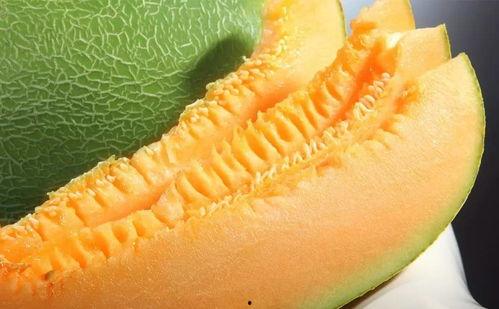 蜜瓜几月吃,夏季最佳时令美味，尽享清凉甜蜜时光