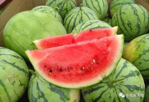 贾家医院吃瓜,揭秘吃瓜群众的围观盛宴